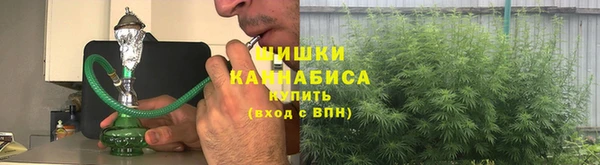 ALPHA PVP Каменка