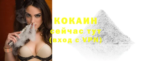 ALPHA PVP Каменка