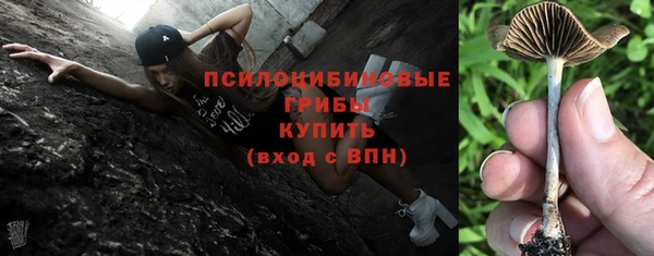 амф Каменногорск