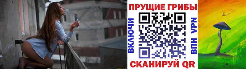 Псилоцибиновые грибы Magic Shrooms Волгоград